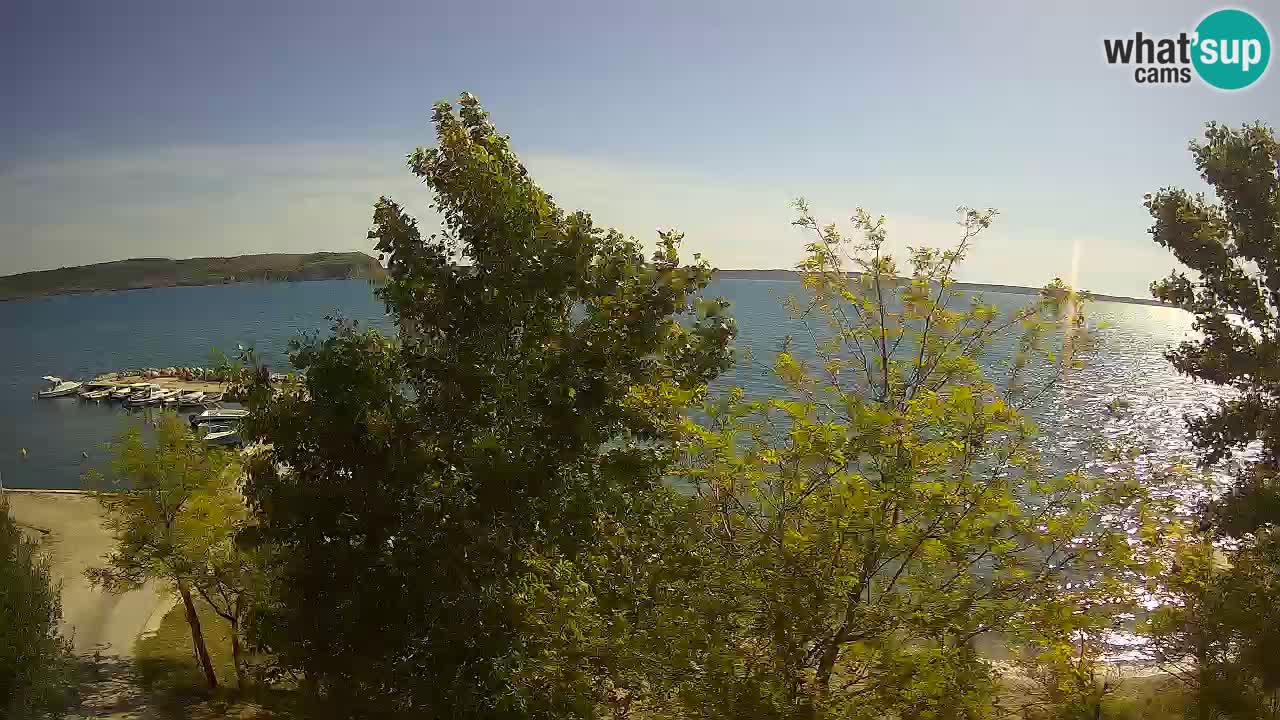Camping Odmoree web kamera Ražanac – Dalmacija