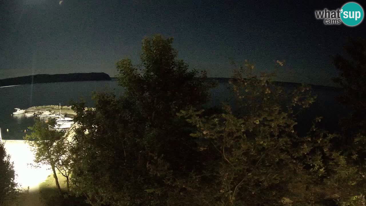 Kamp Odmoree spletna kamera Ražanac – Dalmacija