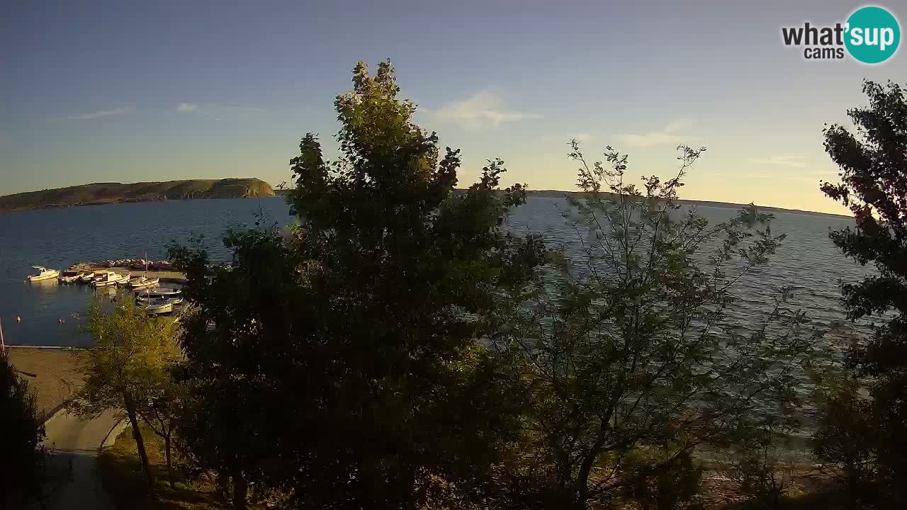 Kamp Odmoree spletna kamera Ražanac – Dalmacija