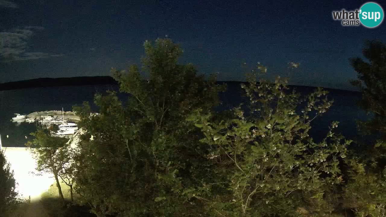 Kamp Odmoree spletna kamera Ražanac – Dalmacija