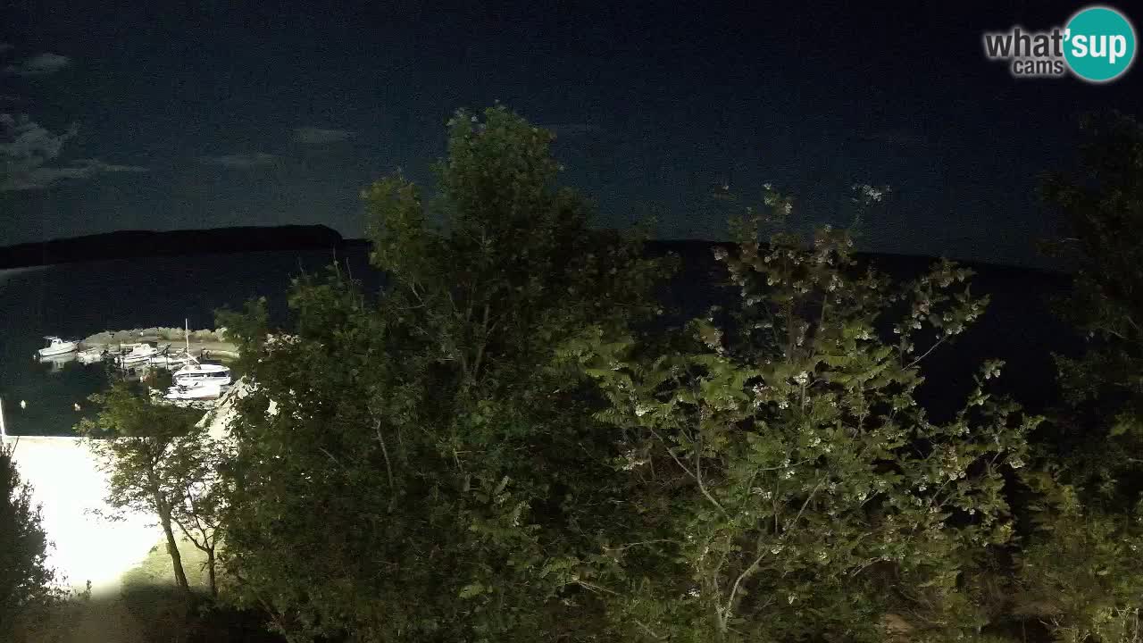 Kamp Odmoree spletna kamera Ražanac – Dalmacija