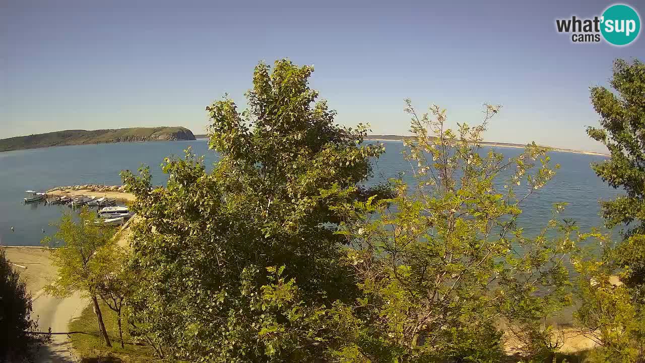 Kamp Odmoree spletna kamera Ražanac – Dalmacija