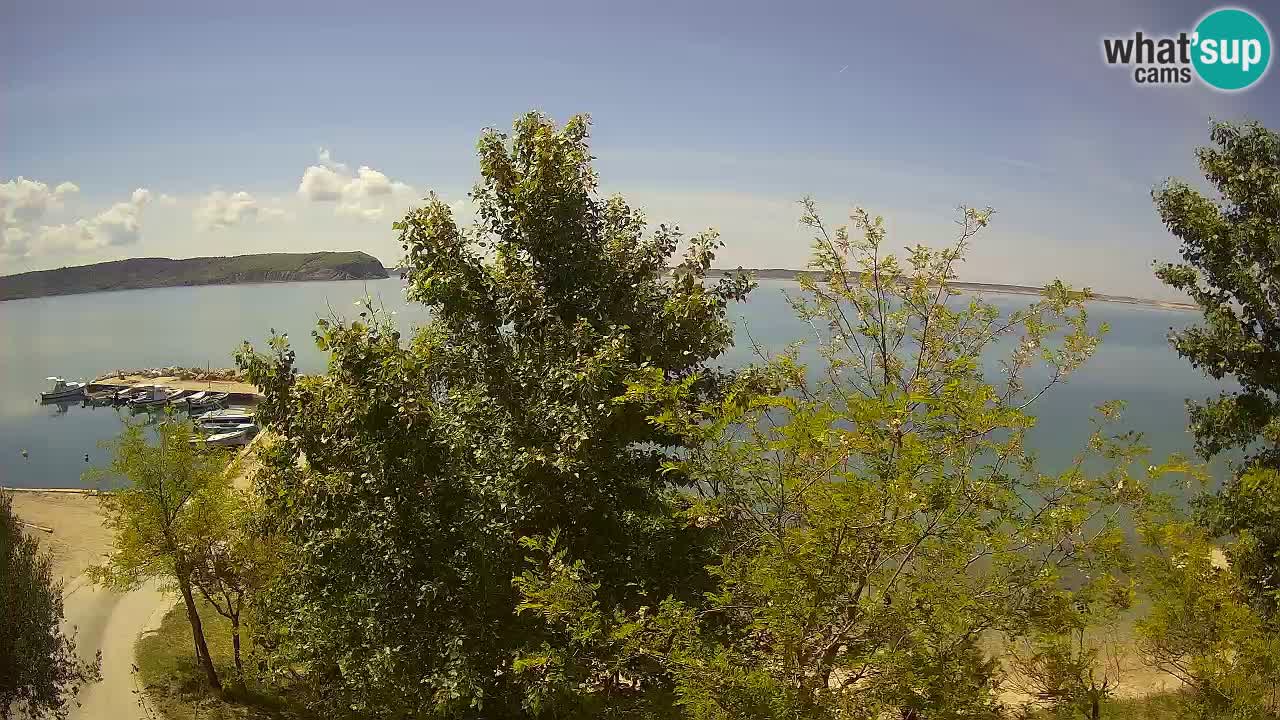 Camping Odmoree camera en vivo Ražanac – Dalmacia