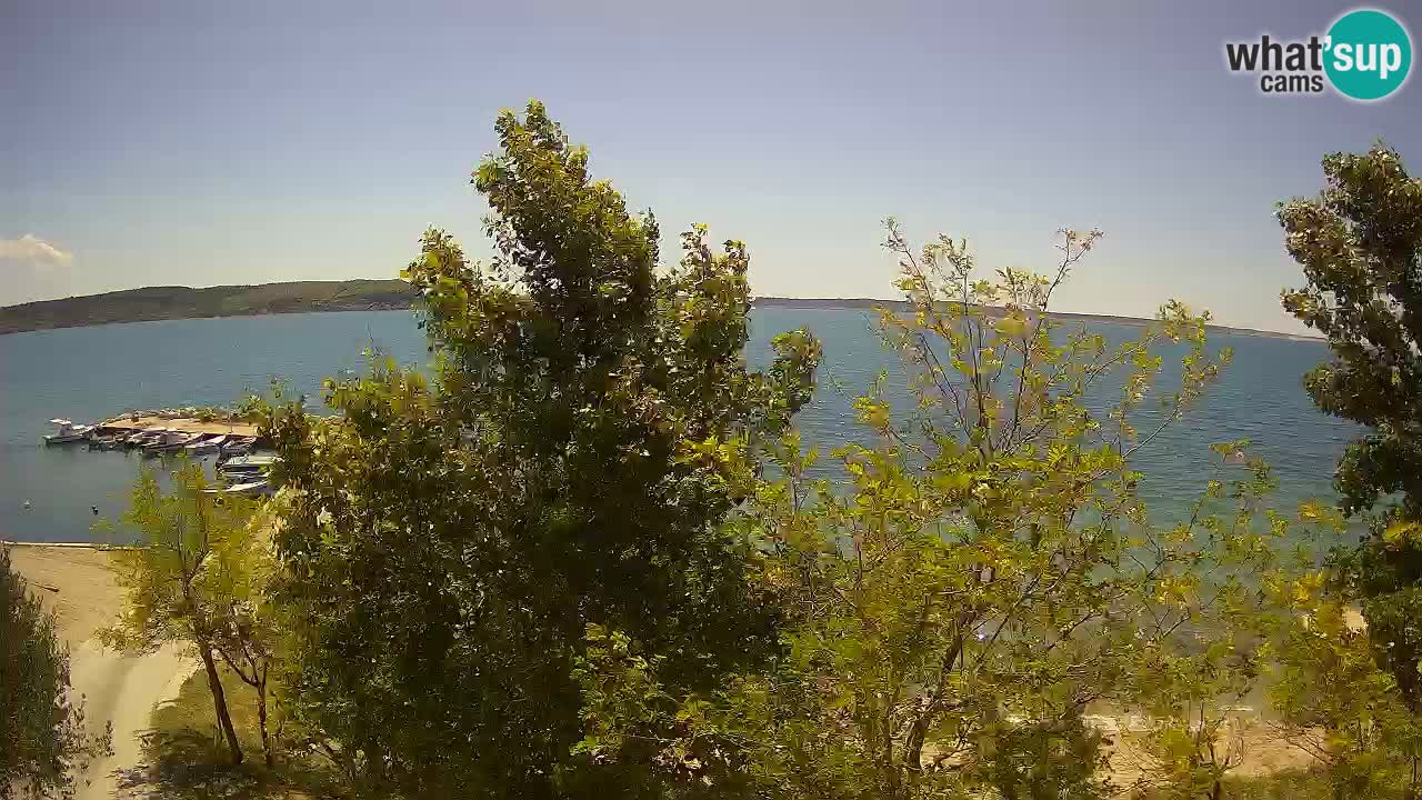 Camping Odmoree camera en vivo Ražanac – Dalmacia