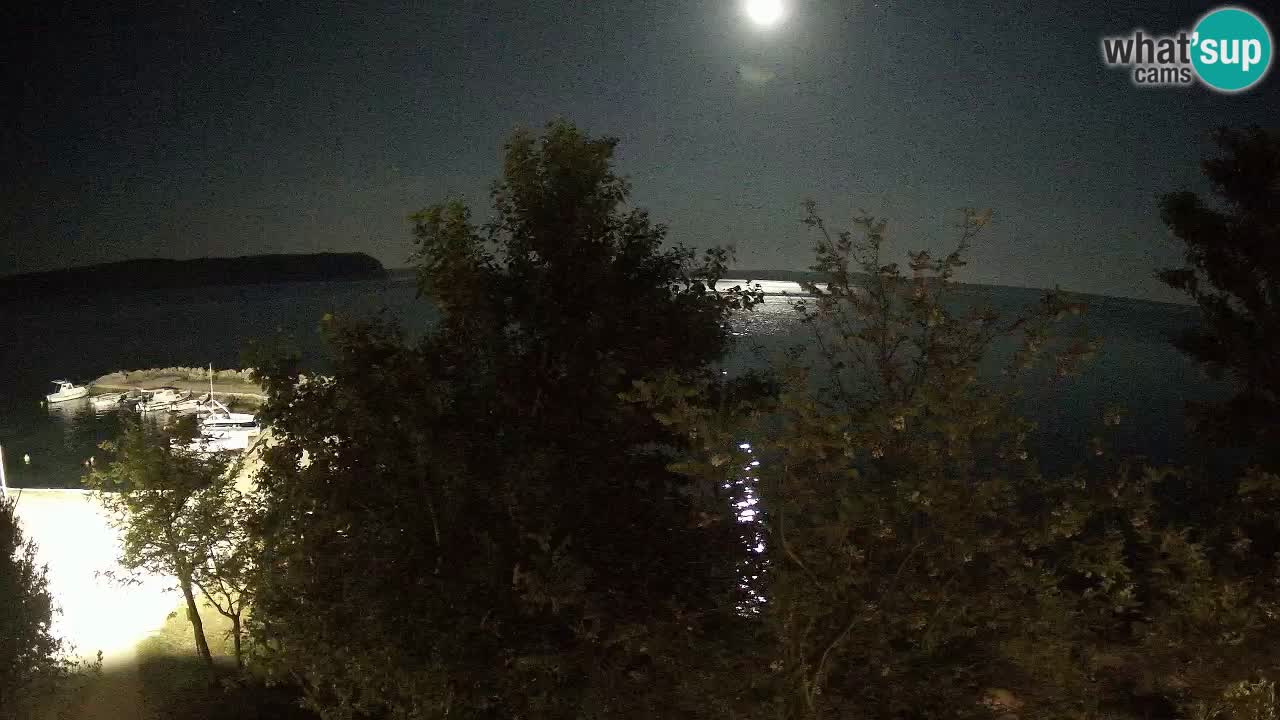 Camping Odmoree camera en vivo Ražanac – Dalmacia