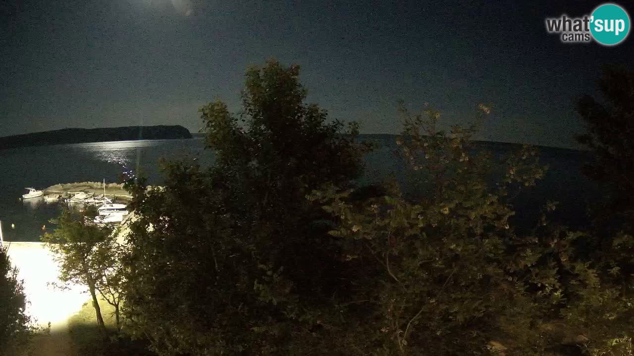 Camping Odmoree camera en vivo Ražanac – Dalmacia