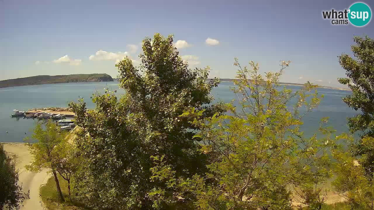 Camping Odmoree camera en vivo Ražanac – Dalmacia