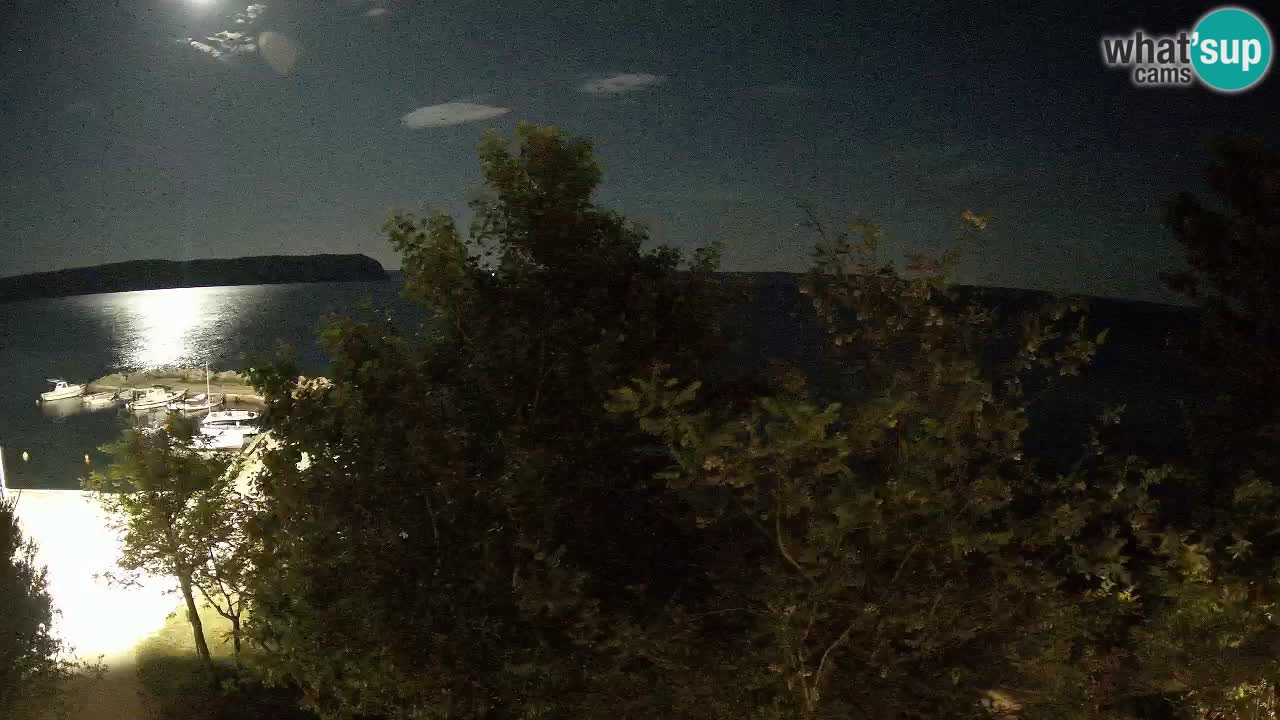 Camping Odmoree camera en vivo Ražanac – Dalmacia