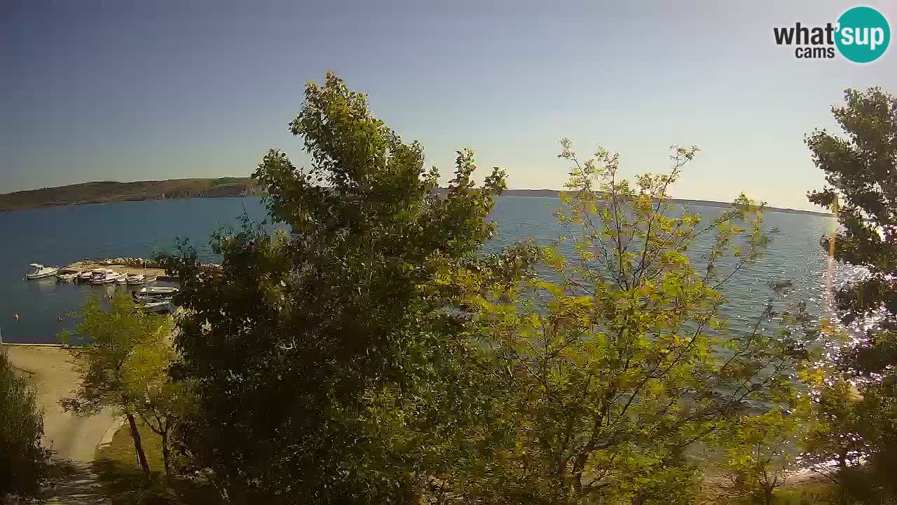 Kamp Odmoree spletna kamera Ražanac – Dalmacija
