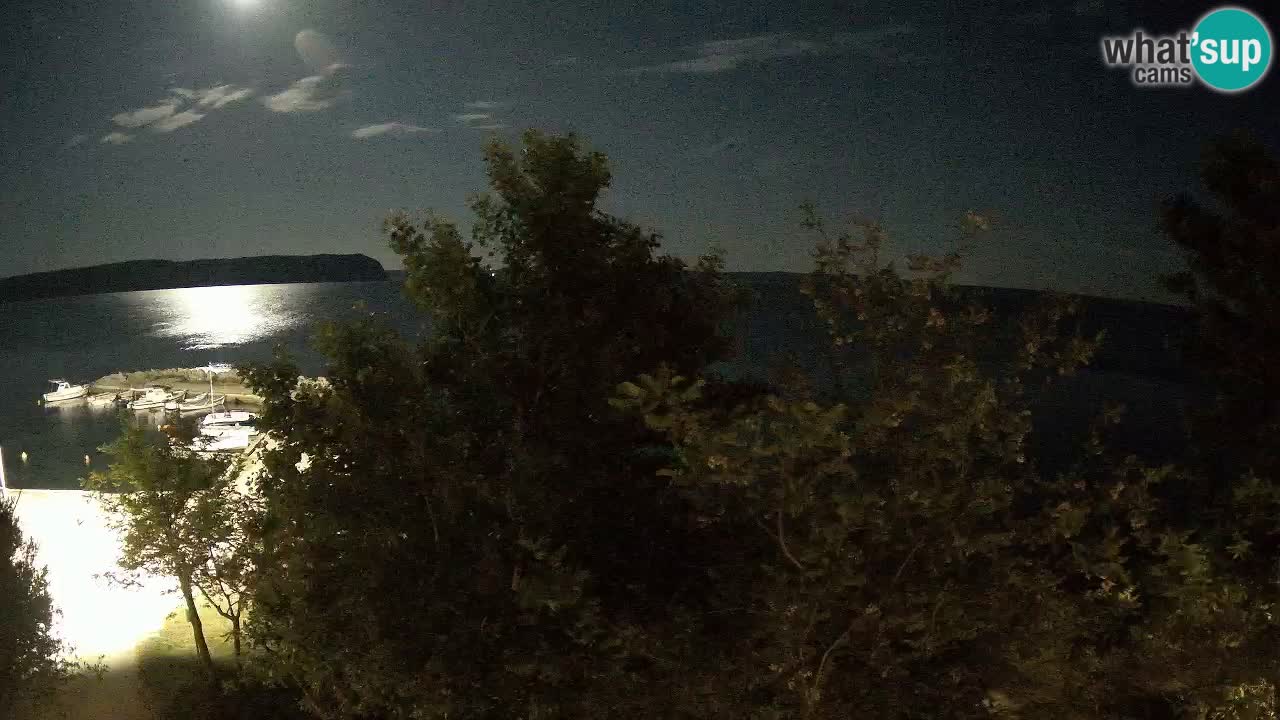 Kamp Odmoree spletna kamera Ražanac – Dalmacija