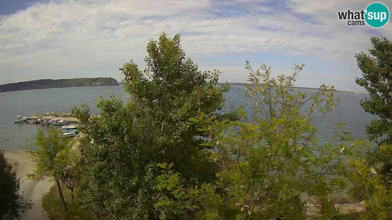 Camping Odmoree live cam Ražanac – Dalmatie