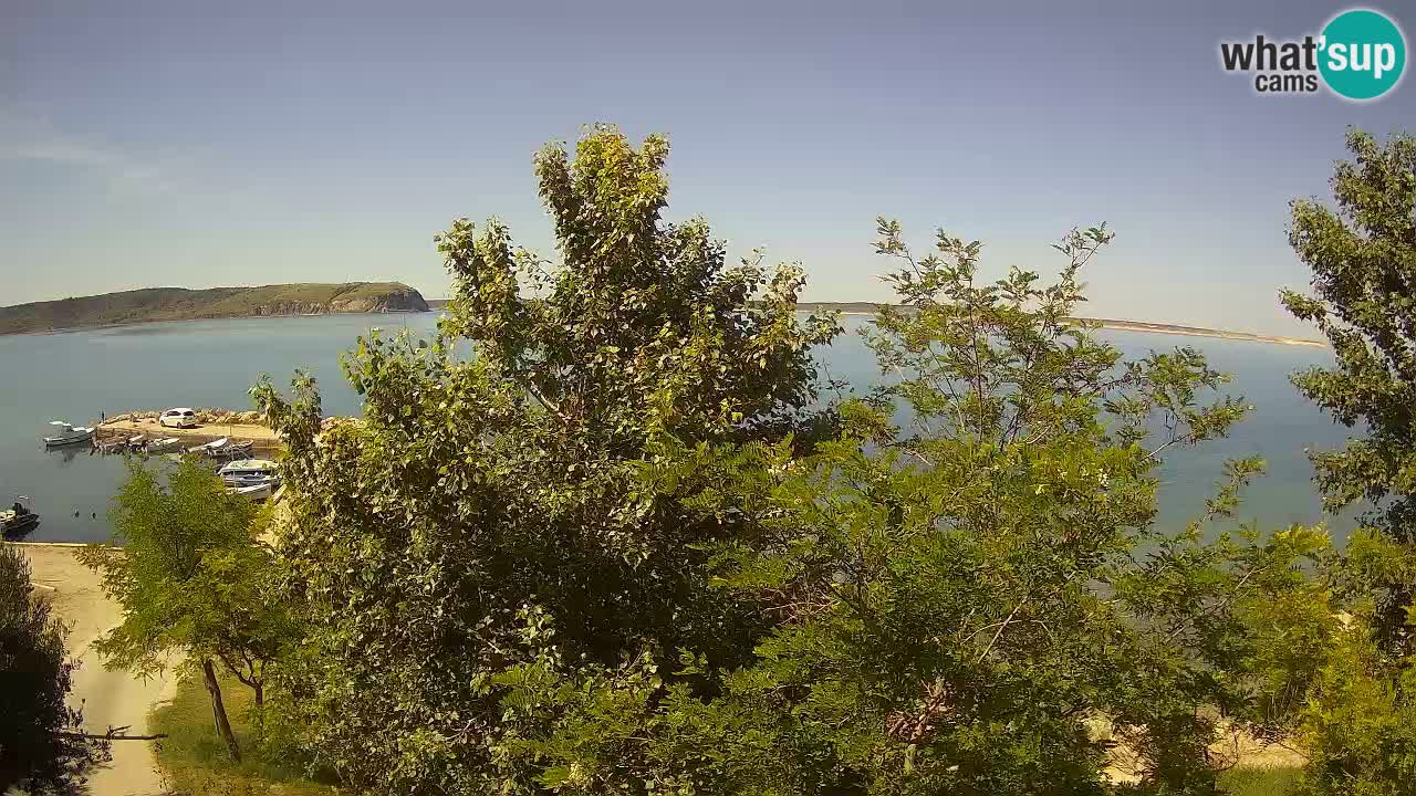 Camping Odmoree camera en vivo Ražanac – Dalmacia