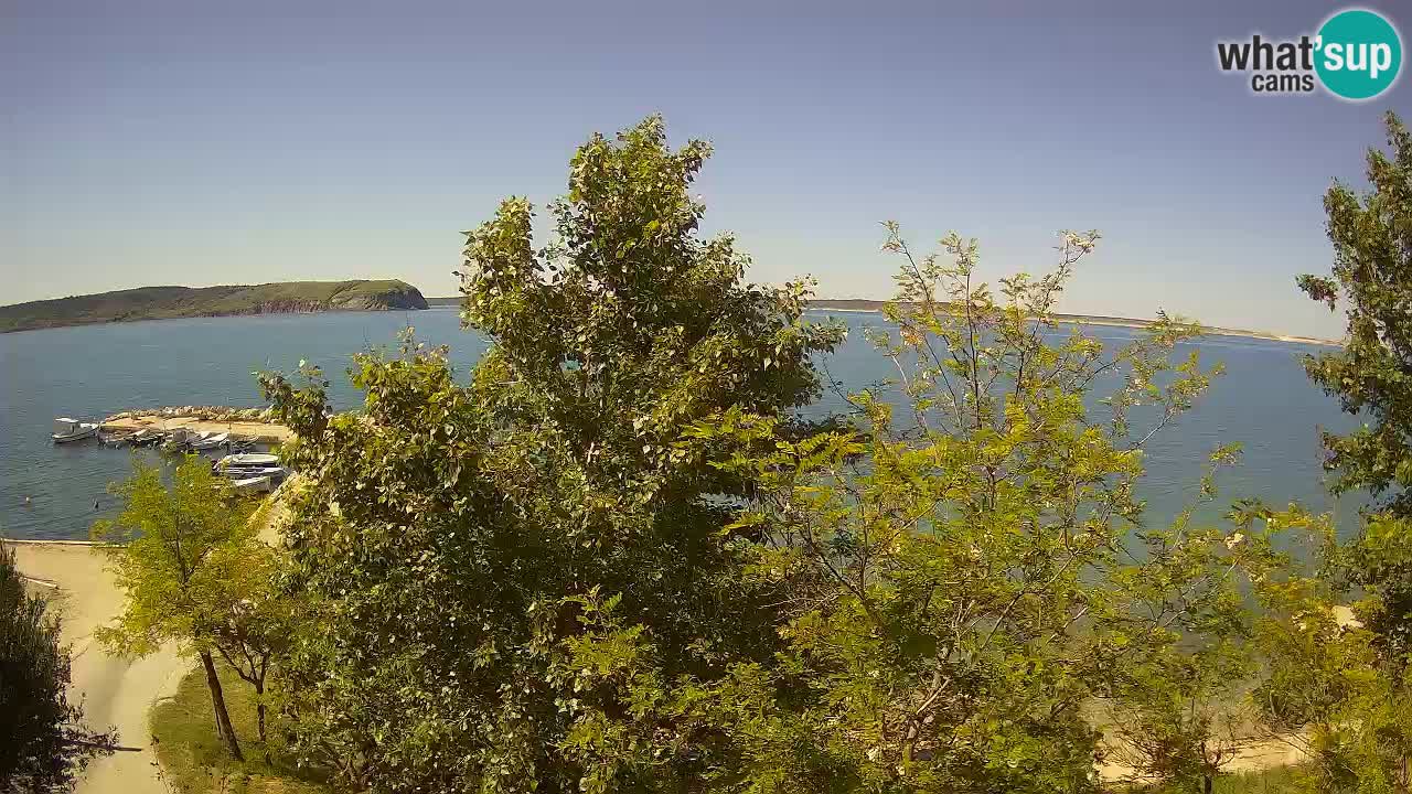 Kamp Odmoree spletna kamera Ražanac – Dalmacija