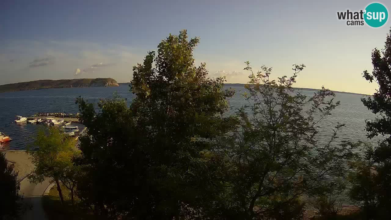Kamp Odmoree spletna kamera Ražanac – Dalmacija