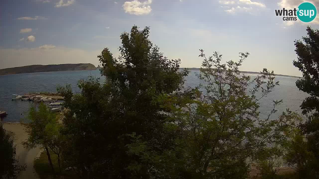 Camping Odmoree camera en vivo Ražanac – Dalmacia