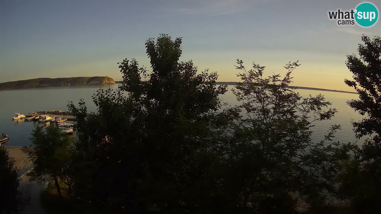Kamp Odmoree spletna kamera Ražanac – Dalmacija