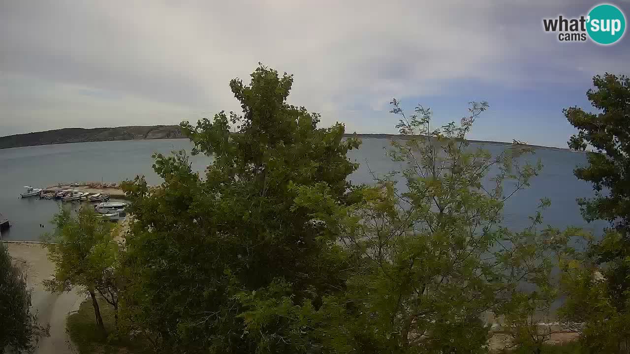 Kamp Odmoree spletna kamera Ražanac – Dalmacija