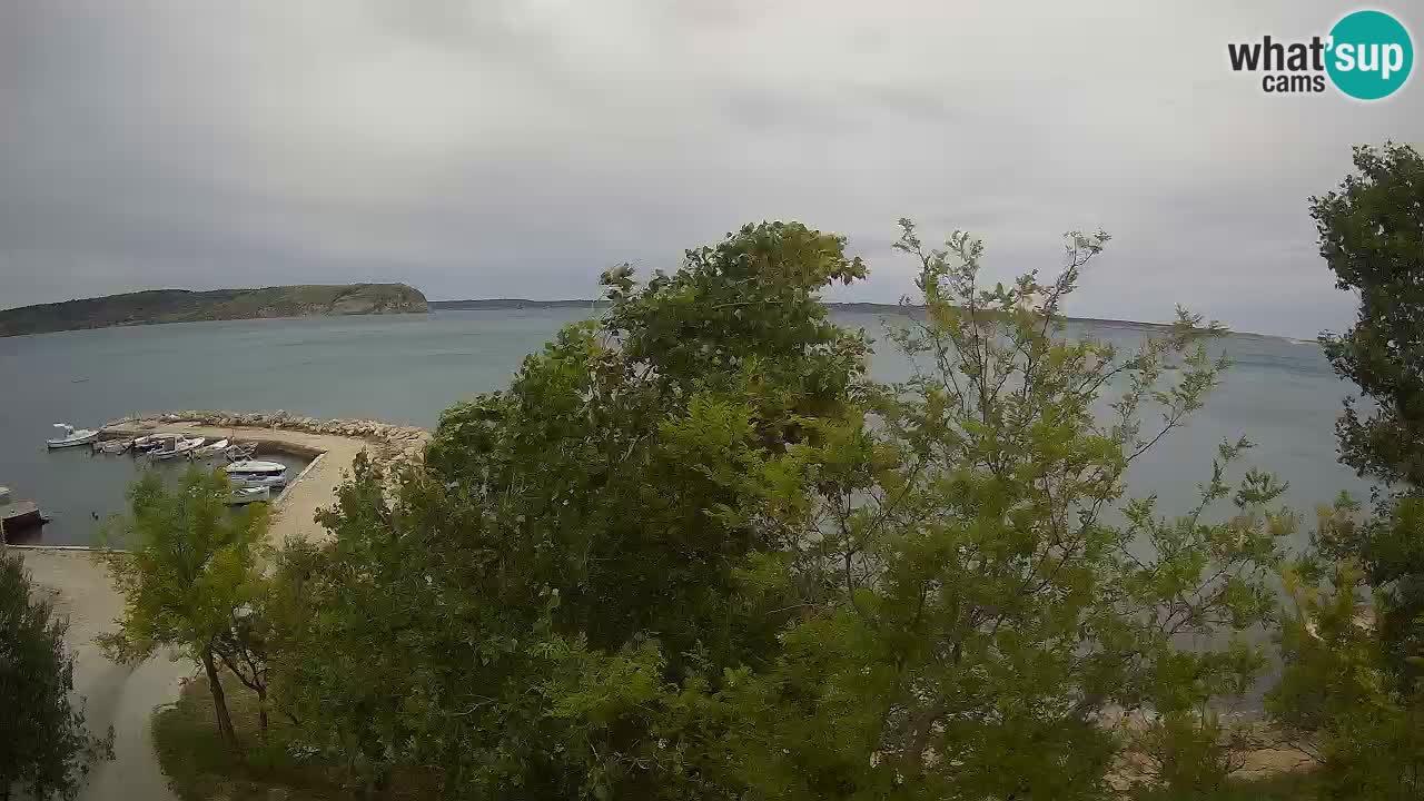 Camping Odmoree camera en vivo Ražanac – Dalmacia