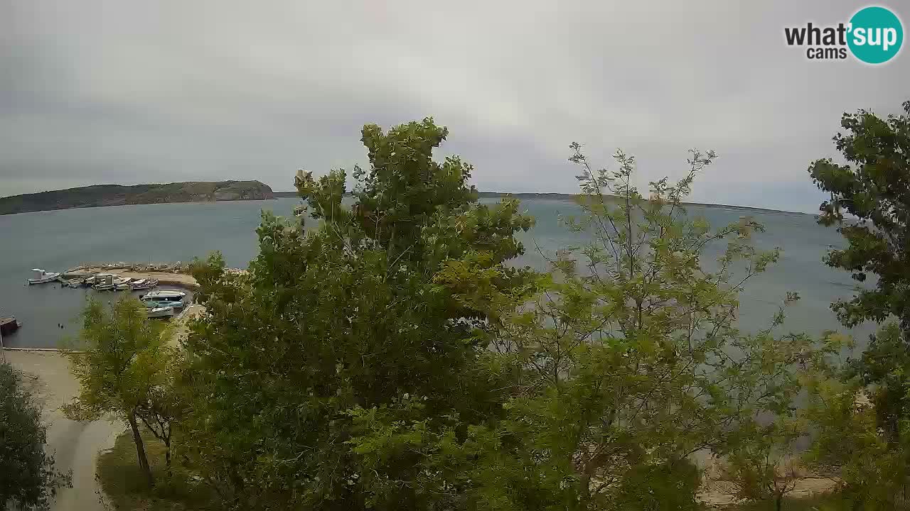 Camping Odmoree webcam Ražanac – Dalmatia