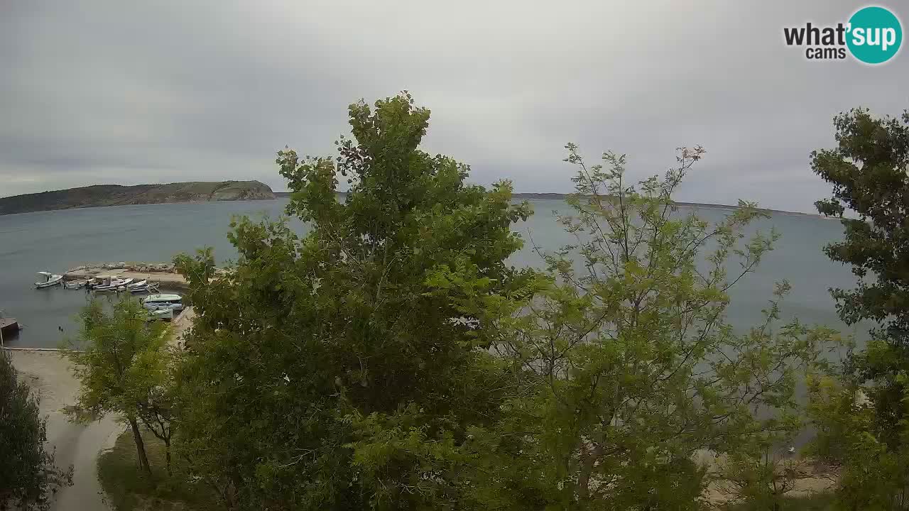 Kamp Odmoree spletna kamera Ražanac – Dalmacija