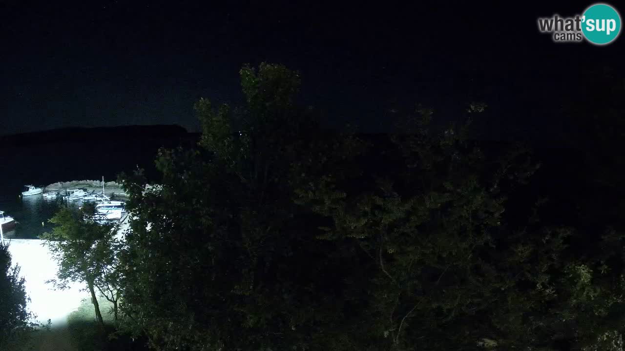 Kamp Odmoree spletna kamera Ražanac – Dalmacija