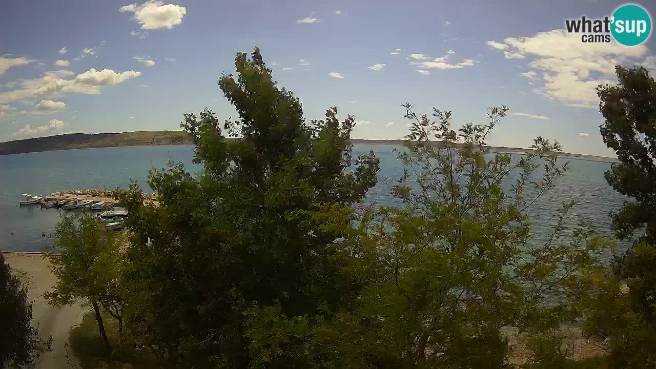 Camping Odmoree webcam Ražanac – Dalmatia