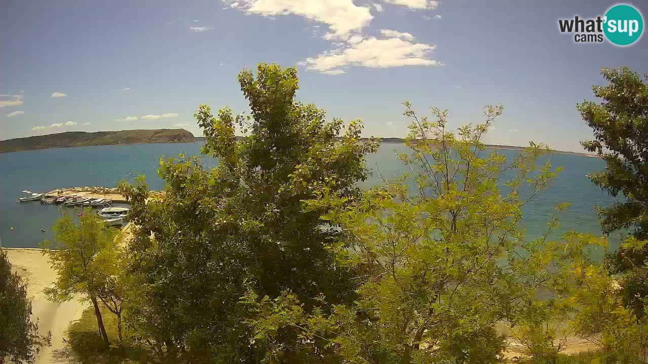 Camping Odmoree web kamera Ražanac – Dalmacija