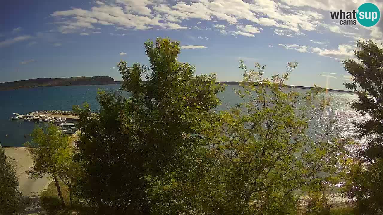 Camping Odmoree camera en vivo Ražanac – Dalmacia