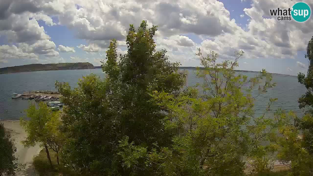 Kamp Odmoree spletna kamera Ražanac – Dalmacija