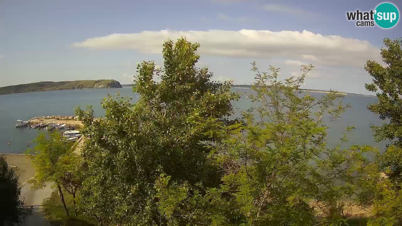 Camping Odmoree live cam Ražanac – Dalmatie
