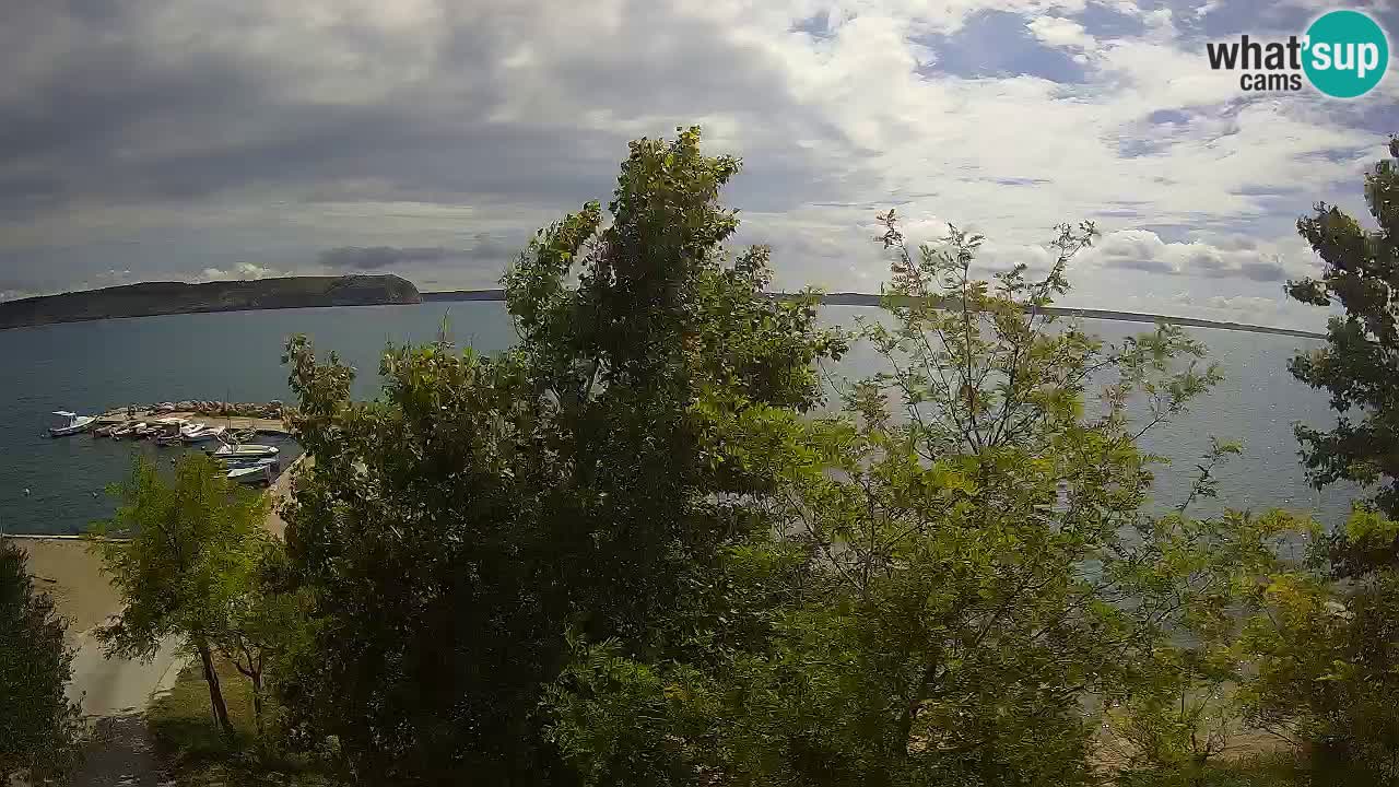 Camping Odmoree camera en vivo Ražanac – Dalmacia