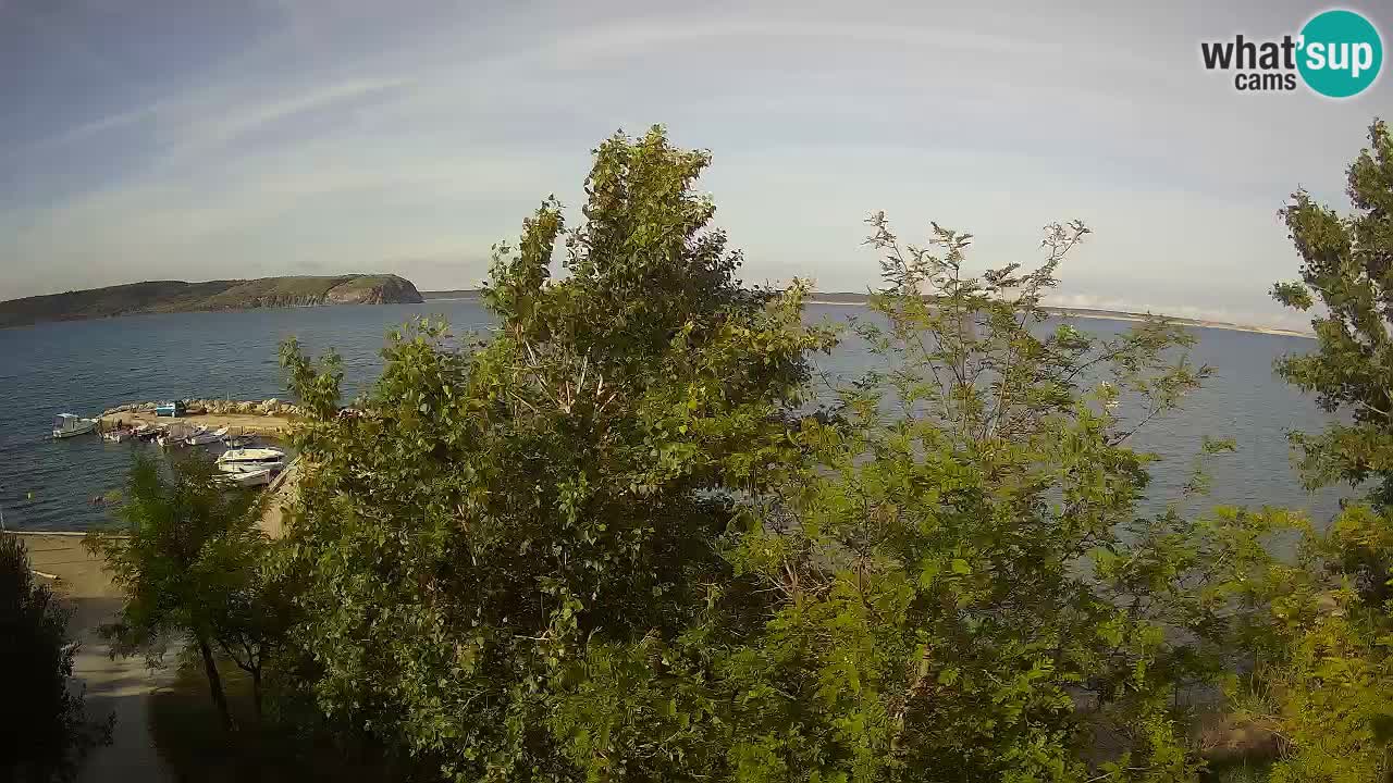 Kamp Odmoree spletna kamera Ražanac – Dalmacija