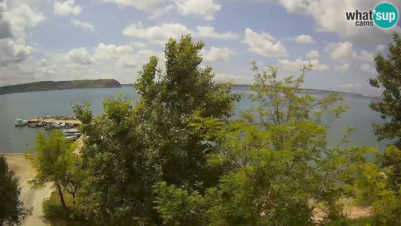 Camping Odmoree camera en vivo Ražanac – Dalmacia