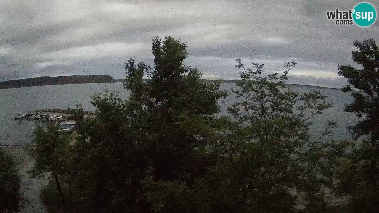 Kamp Odmoree spletna kamera Ražanac – Dalmacija