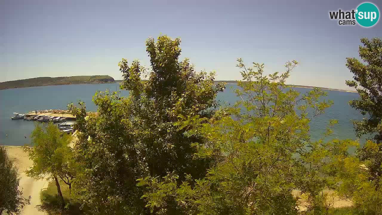 Camping Odmoree camera en vivo Ražanac – Dalmacia