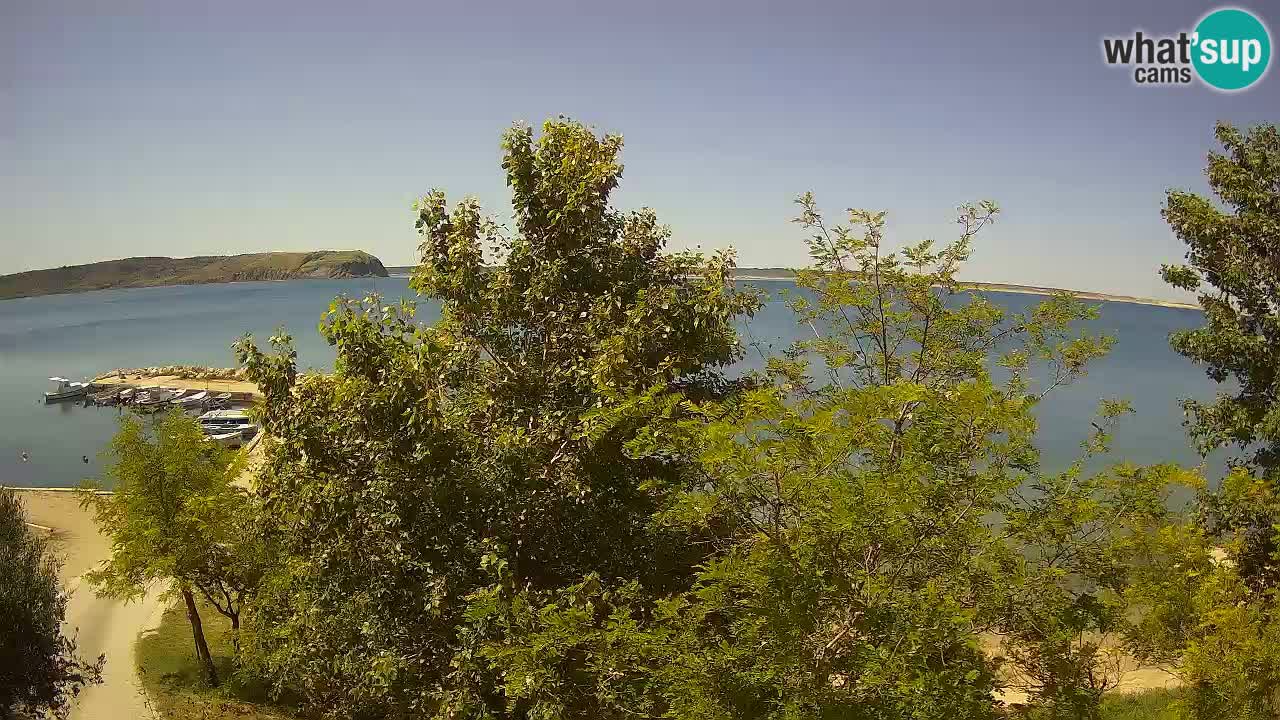 Kamp Odmoree spletna kamera Ražanac – Dalmacija