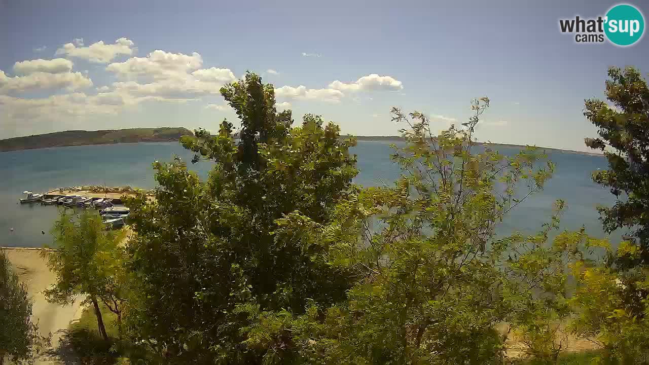 Camping Odmoree camera en vivo Ražanac – Dalmacia
