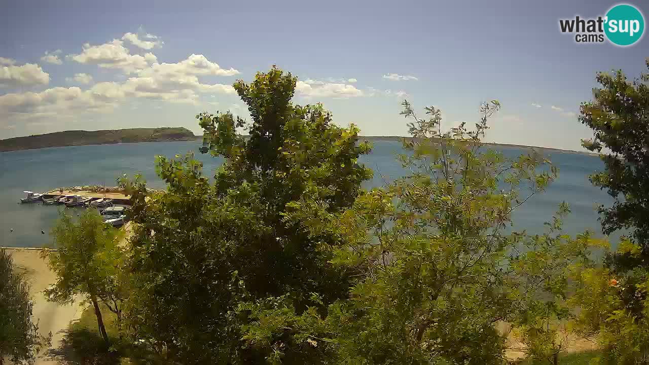 Kamp Odmoree spletna kamera Ražanac – Dalmacija