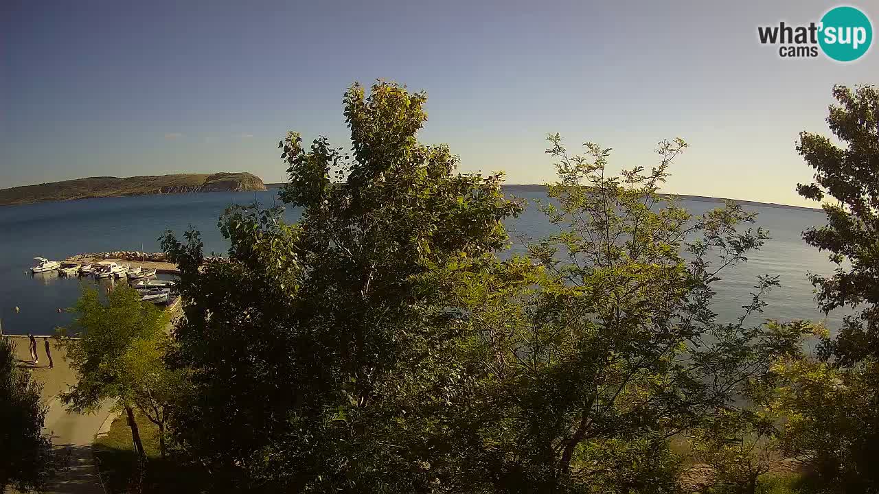 Kamp Odmoree spletna kamera Ražanac – Dalmacija