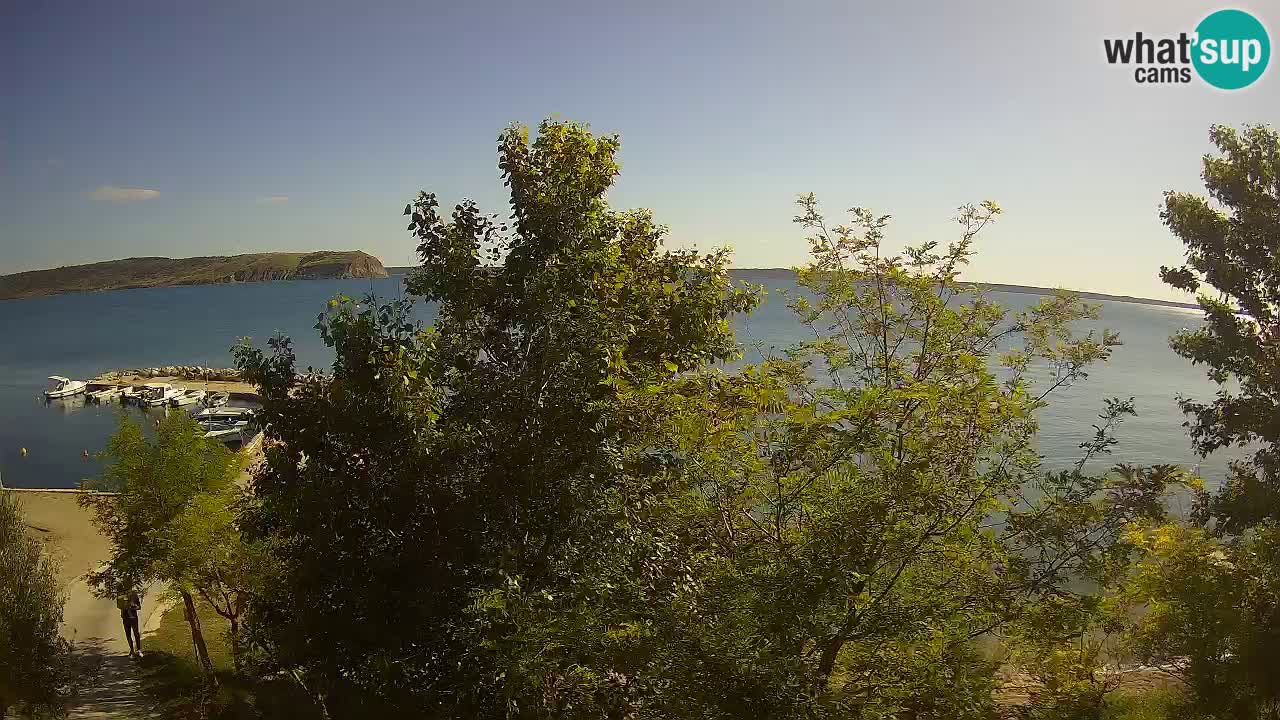 Camping Odmoree live cam Ražanac – Dalmatie