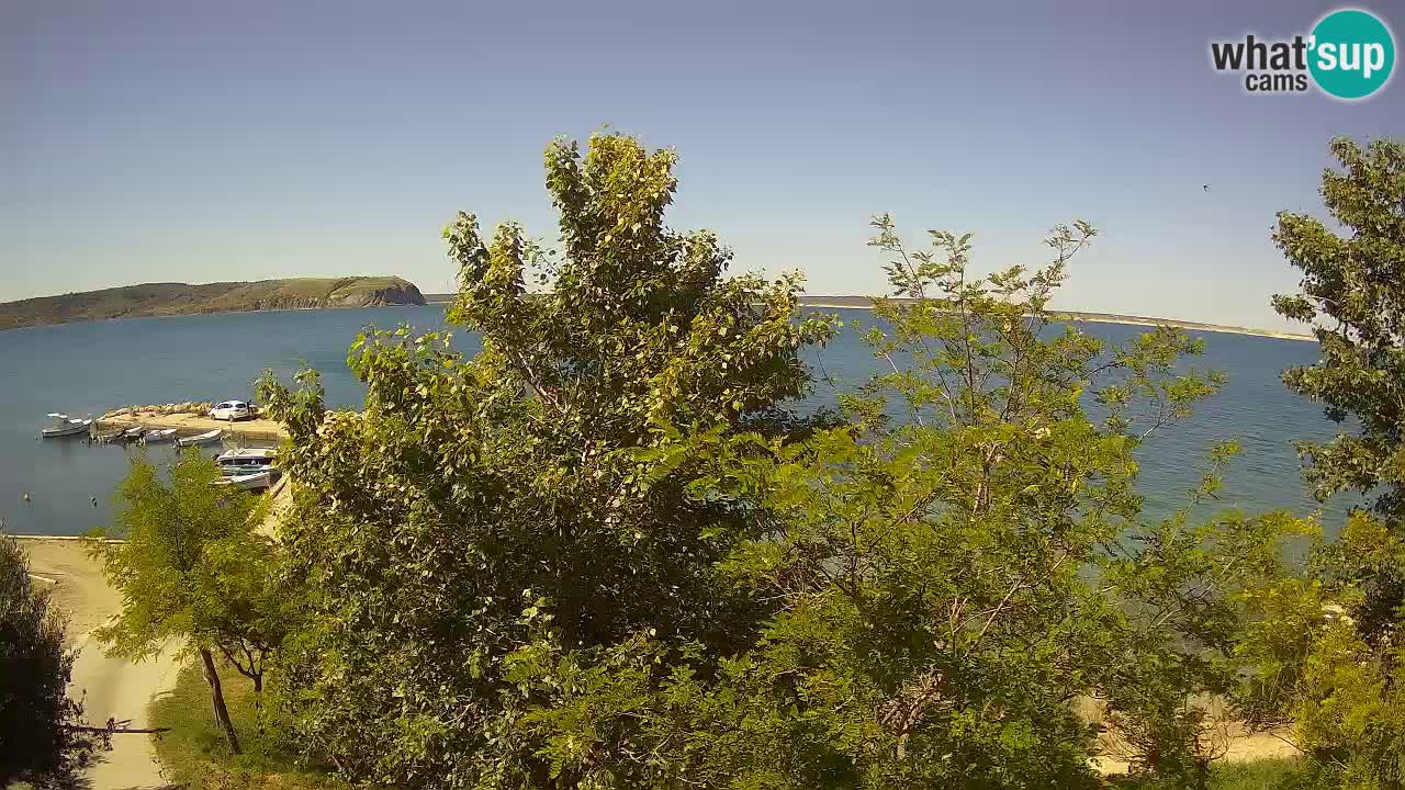 Camping Odmoree webcam Ražanac – Dalmazia