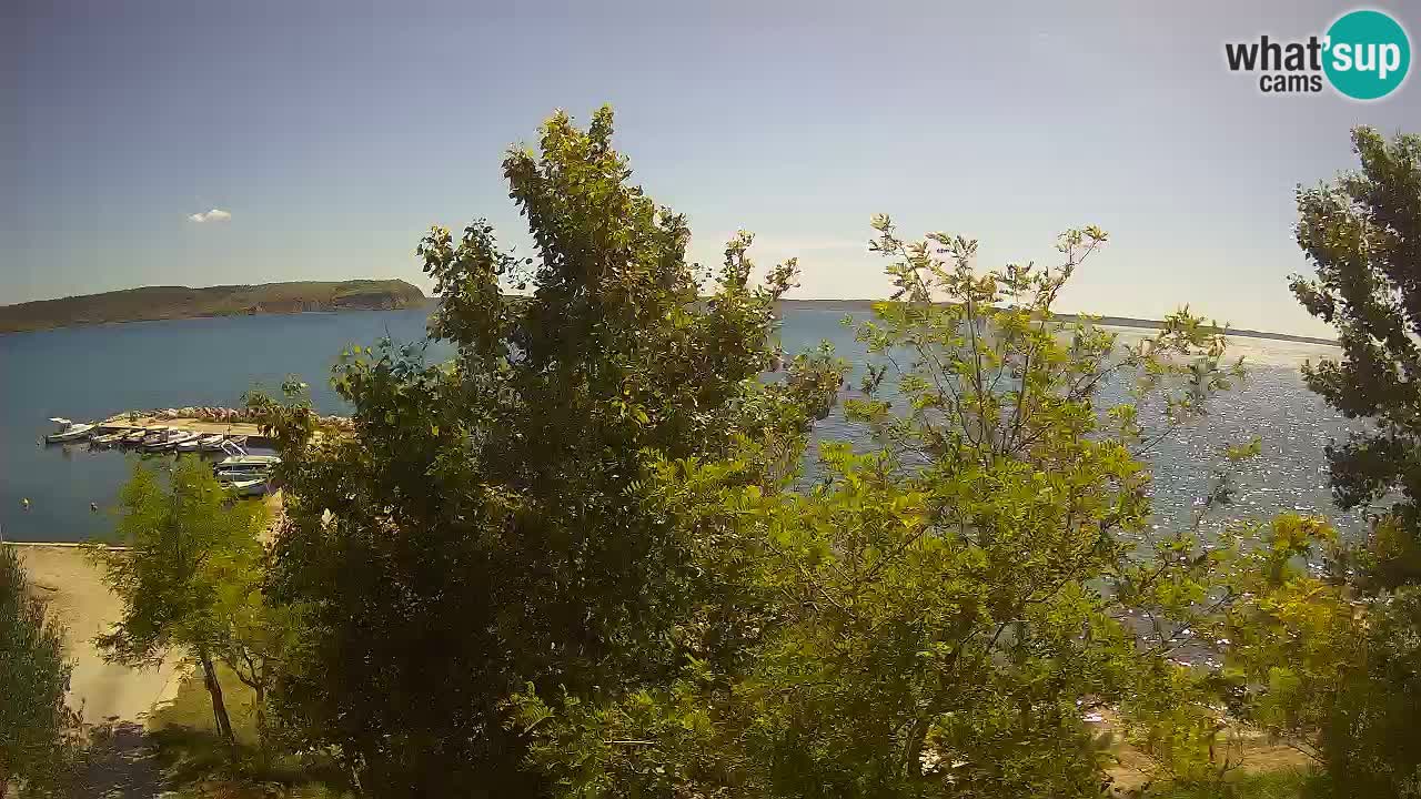 Camping Odmoree webcam Ražanac – Dalmazia