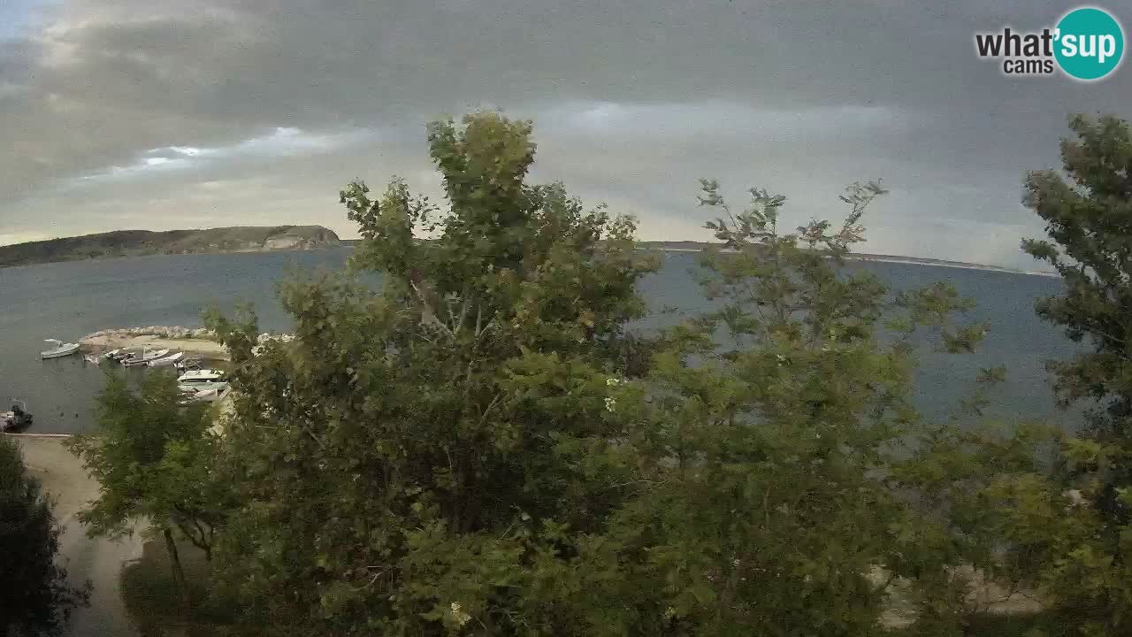 Kamp Odmoree spletna kamera Ražanac – Dalmacija