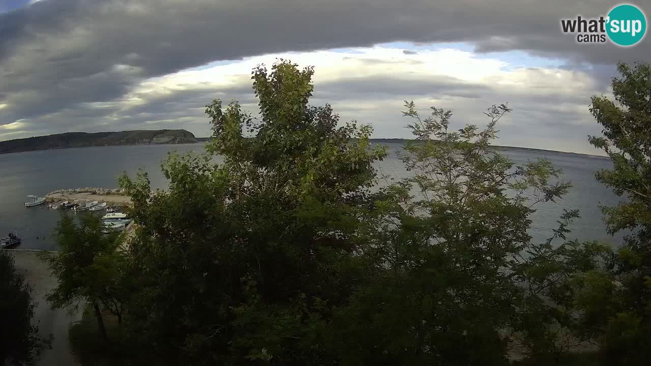 Kamp Odmoree spletna kamera Ražanac – Dalmacija
