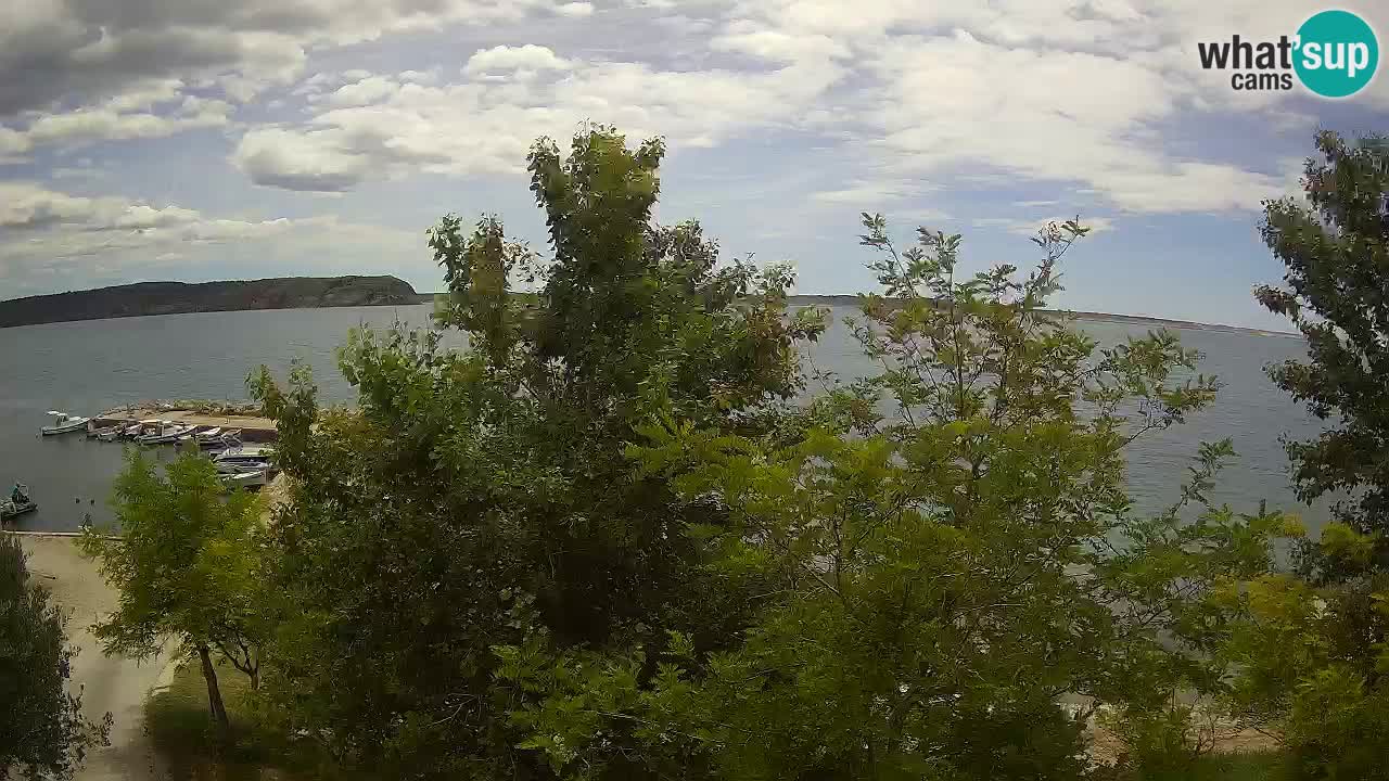 Camping Odmoree camera en vivo Ražanac – Dalmacia