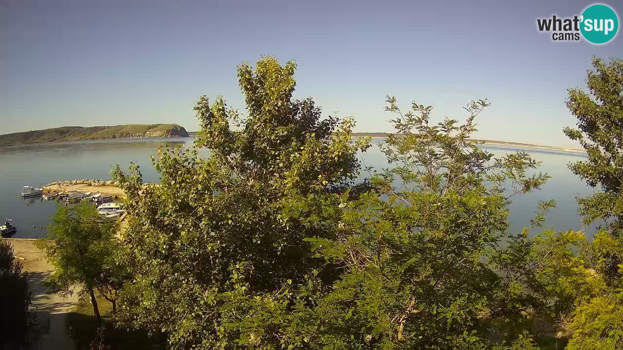 Camping Odmoree camera en vivo Ražanac – Dalmacia