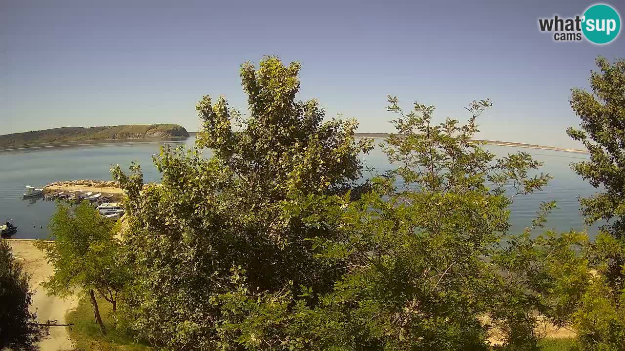 Camping Odmoree webcam Ražanac – Dalmazia