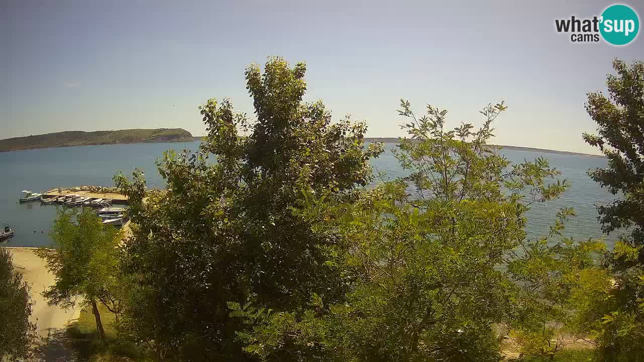 Camping Odmoree webcam Ražanac – Dalmazia