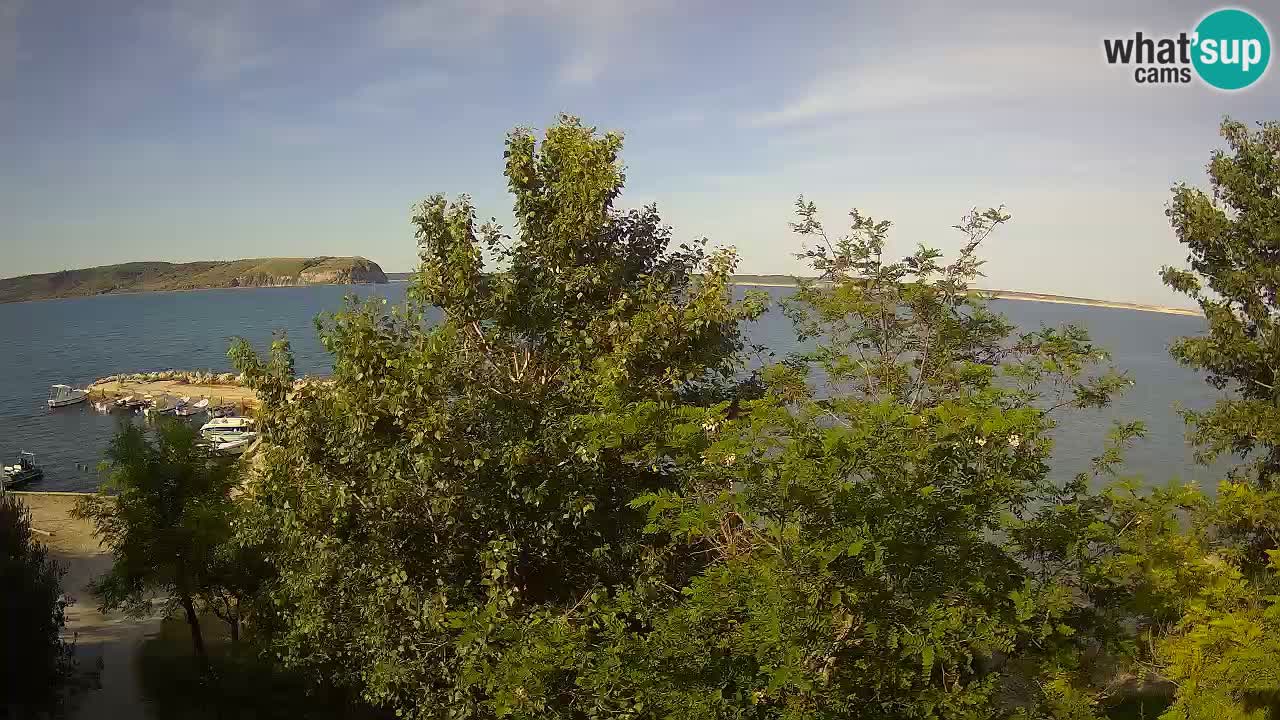 Camping Odmoree web kamera Ražanac – Dalmacija