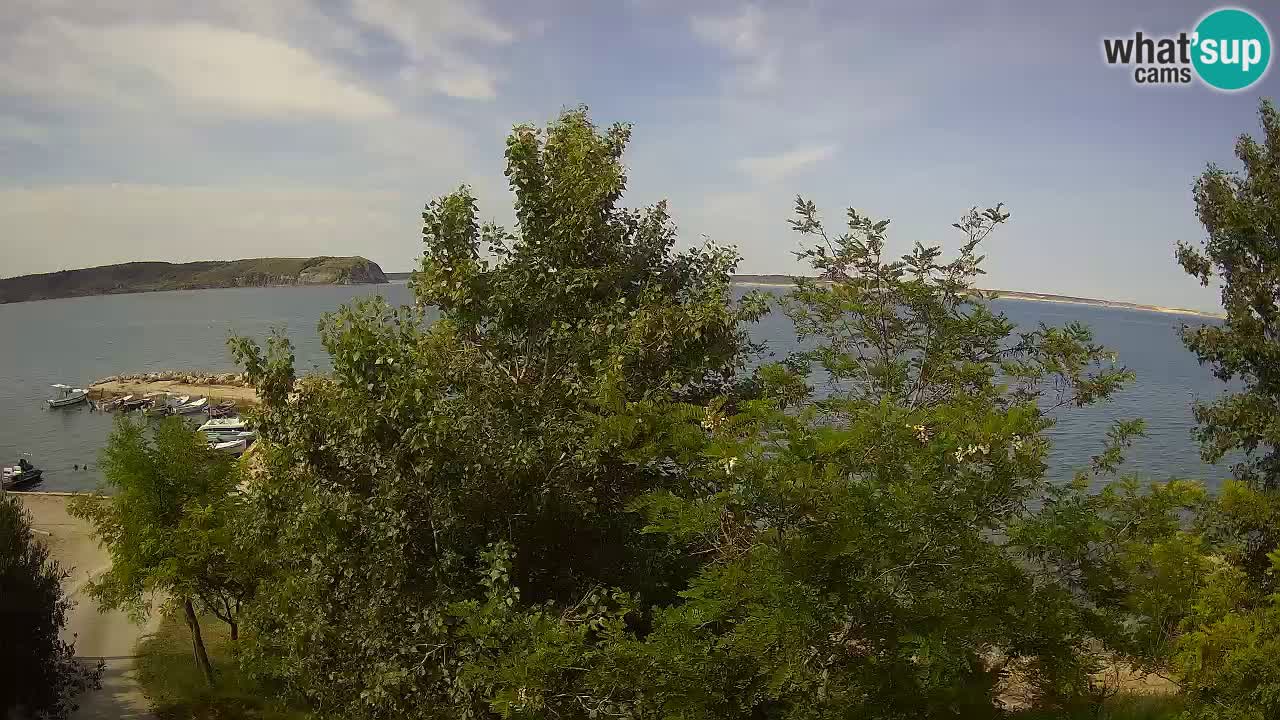 Camping Odmoree camera en vivo Ražanac – Dalmacia